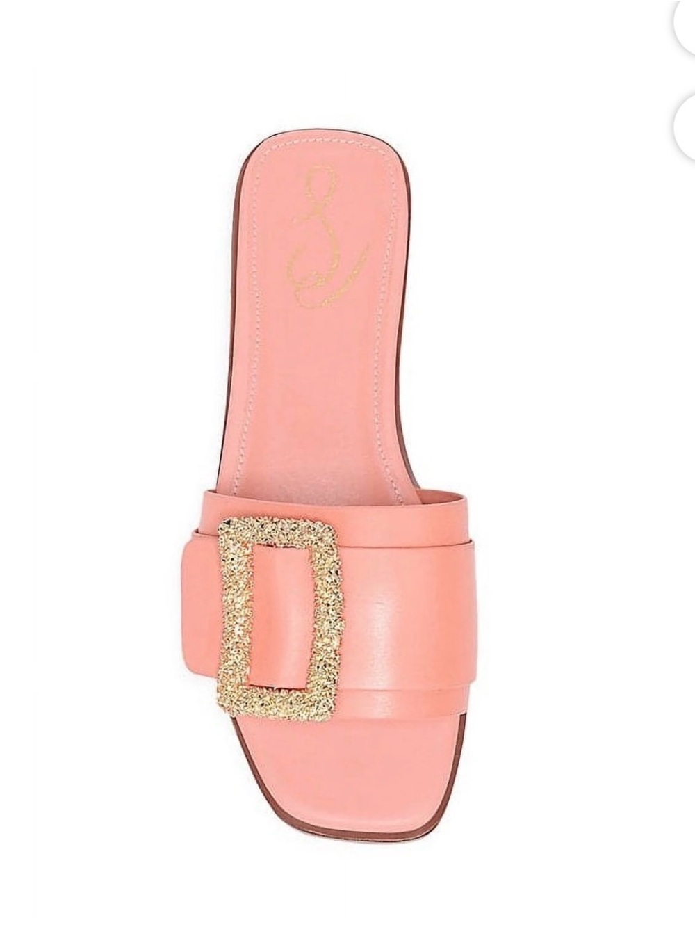 Sam Edelman Inez Slide Sandal in Canyon Clay, Size 7.5, New In Box Gold Buckle